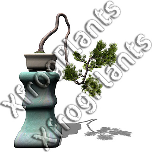 3d model bonsai trees dvd plants - XfrogPlants Bonsai DVD by xfrog