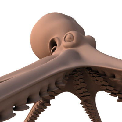 3d model octopus squid - Octopus by FraP