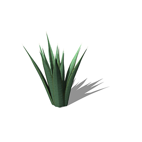 xfrogplants century plant 3ds - XfrogPlants Century Plant by xfrog