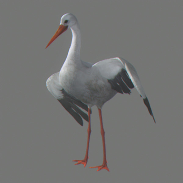stork flight wings max - Animated Stork by NONECG