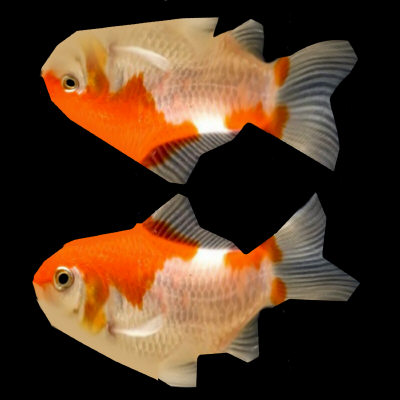 3ds max low-poly comet goldfish - comet_goldfish.zip by cameronpv