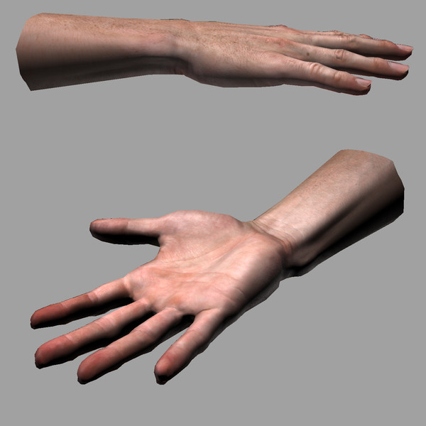 hand quad high-res 3d model - Male Hand (Jointed)... by kenbishop