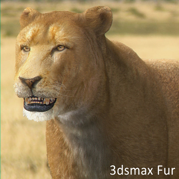 3d model lioness polys - Lioness by NONECG
