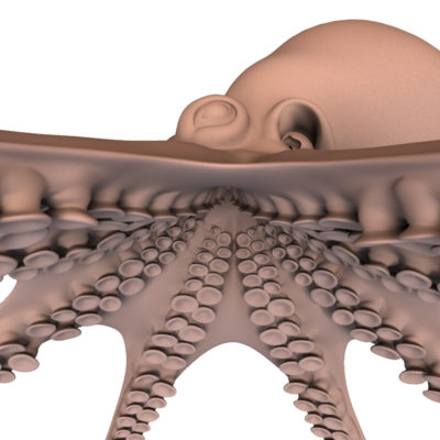 3d model octopus squid - Octopus by FraP