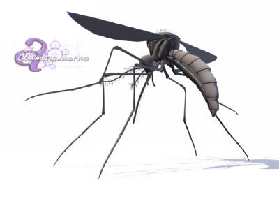ma mosquito insect - Mosquito.mb by HIVEFX