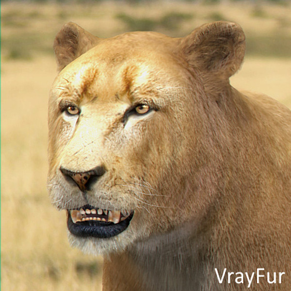 3d model lioness polys - Lioness by NONECG