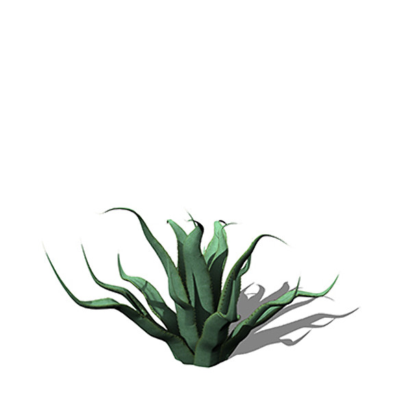 xfrogplants century plant 3ds - XfrogPlants Century Plant by xfrog