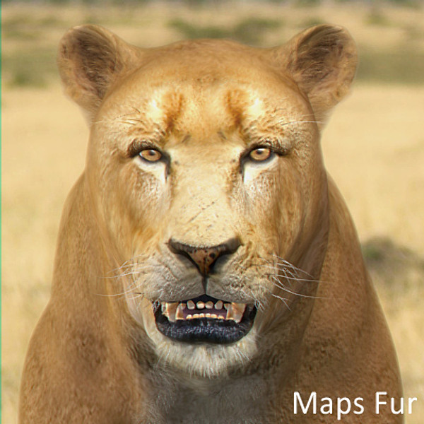 lioness polys 3d model - Animated Lioness by NONECG