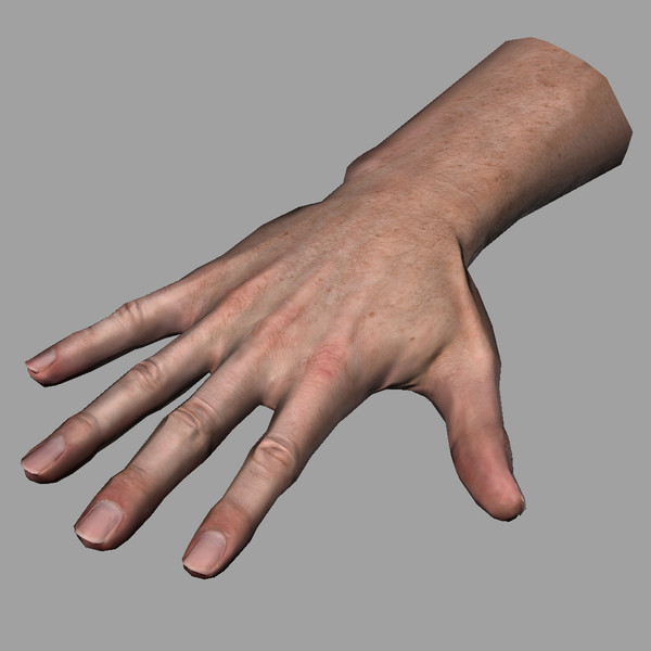 hand quad high-res 3d model - Male Hand (Jointed)... by kenbishop