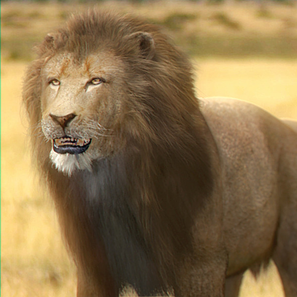 3ds max lion fur - Animated Lion... by NONECG