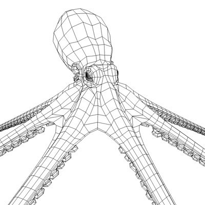3d model octopus squid - Octopus by FraP