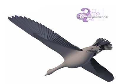 3d canadian goose model - Canadian Goose... by HIVEFX