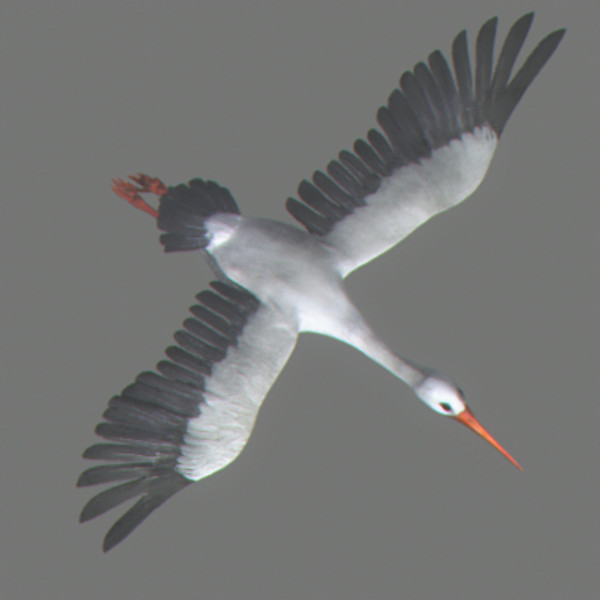 stork flight wings max - Animated Stork by NONECG