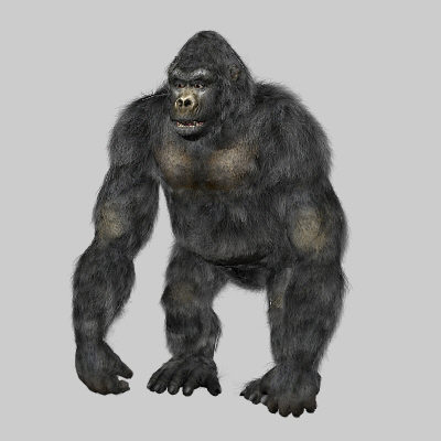 3d gorilla monkey model - Gorilla by 3d_Wanderer