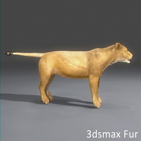 3d model lioness polys - Lioness by NONECG