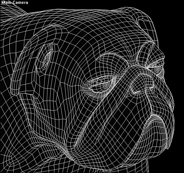 bull bulldog dog 3d model - bulldog.zip... by Rhythm and Hues