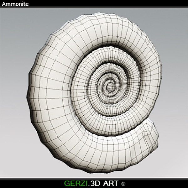 3d ammonite fossile - Ammonite Fossil by Gerzi 3D ART