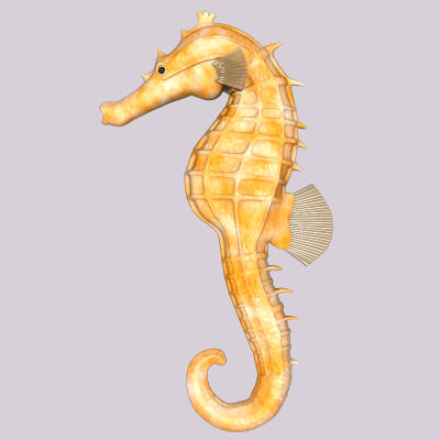 maya sea horse - Seahorseyellow.obj.zip... by Tripoint Models