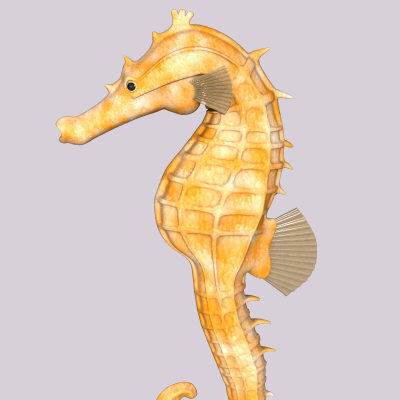 maya sea horse - Seahorseyellow.obj.zip... by Tripoint Models