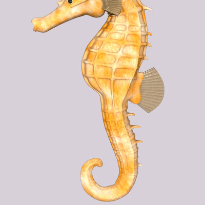 maya sea horse - Seahorseyellow.obj.zip... by Tripoint Models
