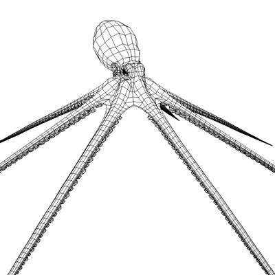 3d model octopus squid - Octopus by FraP