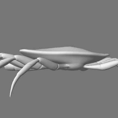 crab claws obj - crab by AexisOnFire