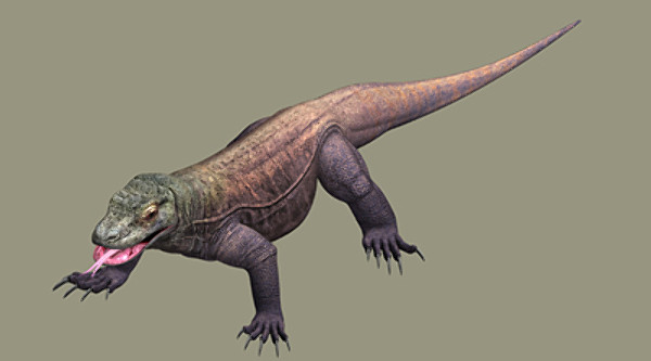 komodo dragon 3d model - komodo dragon by scrw