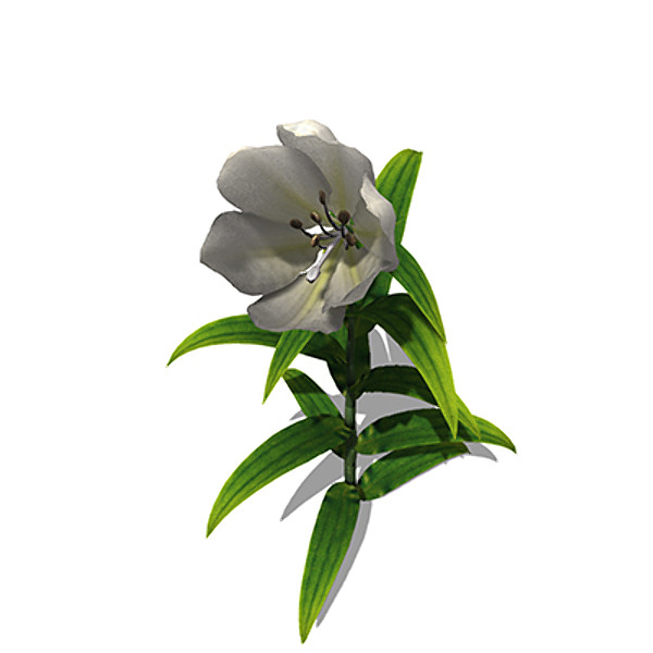 xfrogplants lily plant flowers 3ds - XfrogPlants Lily by xfrog