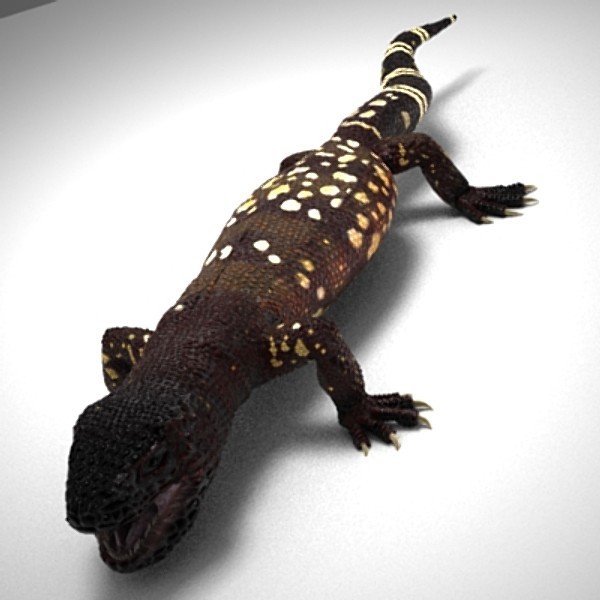 3d gila lizard beaded - BeadedLizard_3DS.zip by Short Bus