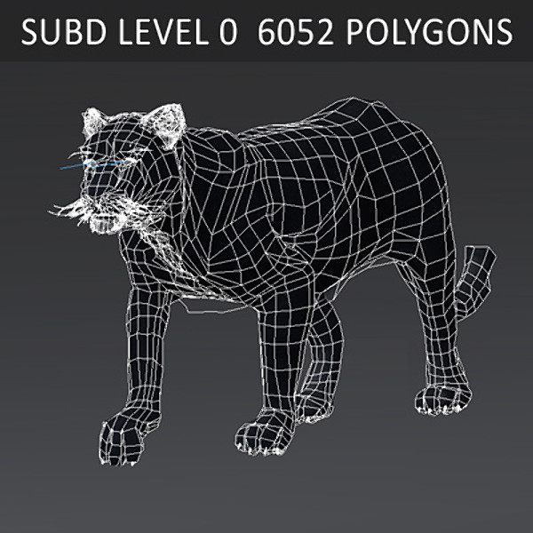 panther animation 3d model - Animated Panther... by NONECG