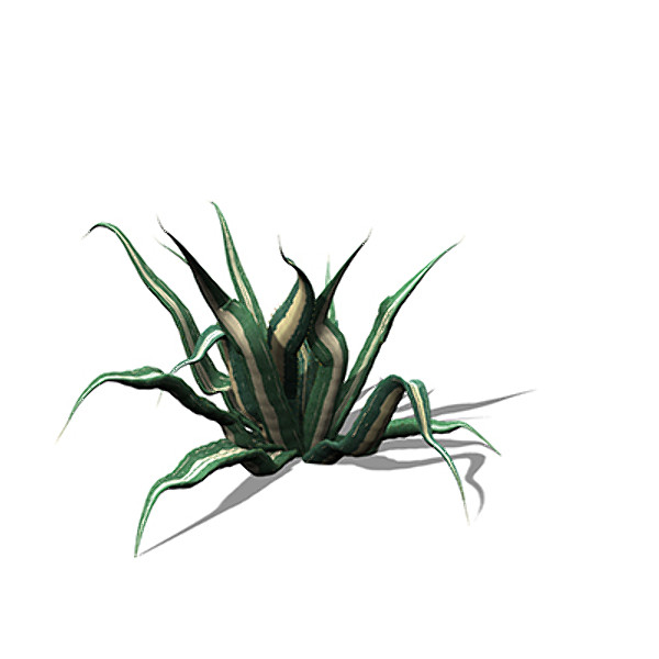 xfrogplants century plant 3ds - XfrogPlants Century Plant by xfrog