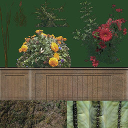 plant flower lower max - Flower flowers plant flower beds parterre 0001.rar by tengdy