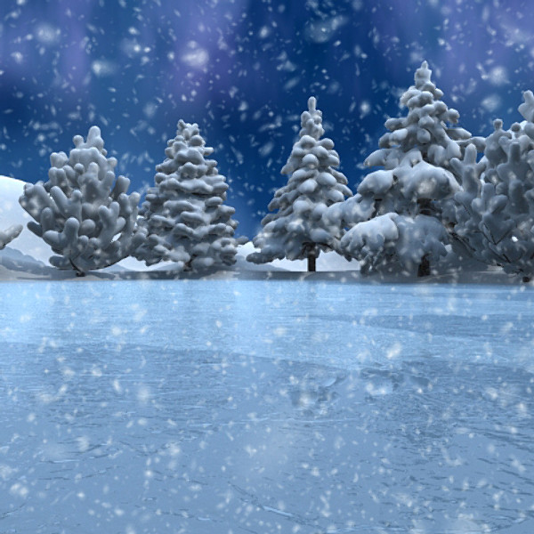 3d model winter scene lake conifer trees - Winter Lake Conifer by scripter