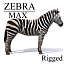 zebra_max.zip