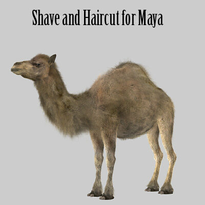 camel 3d max - Camel by 3d_Wanderer