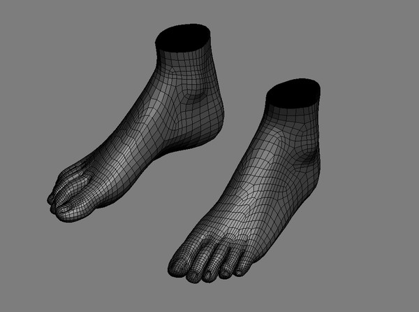 3d realistic foot model - Female Foot with UV by dentonvanzan
