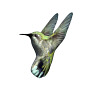 maya humming bird