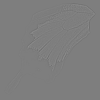 free female bump spec 3d model - female... by japrogramer