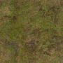 grassdirt.jpg