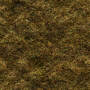 deadgrass.jpg