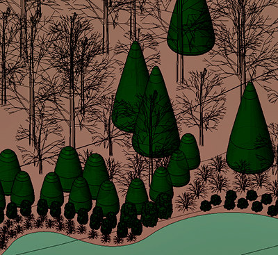 Tree Oval Upright Deciduous