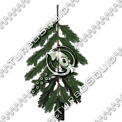 Alpha Channel Pine Tree Branch