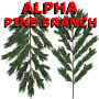 Alpha Channel Pine Tree Branch