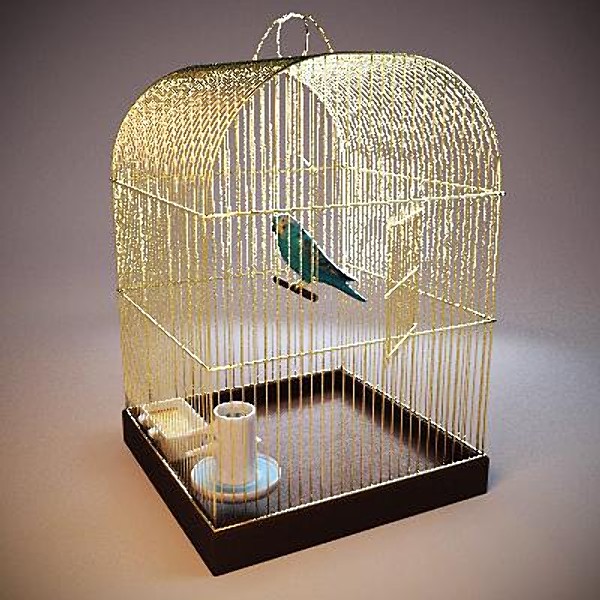 maya cage bird cells - The cage with the bird by Stubborn3D