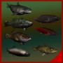 max largemouth fish