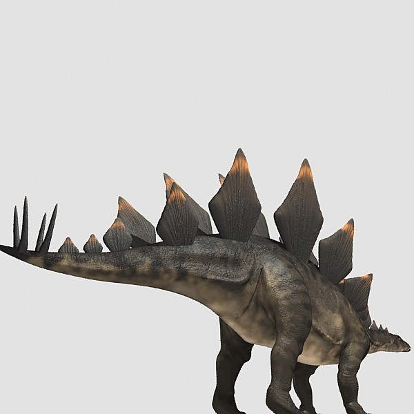 3d stegosaurus jurassic dinosaur model - Stegosaurus by 3depix