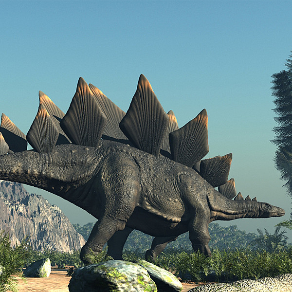 3d stegosaurus dinosaur animation - Stegosaurus Animated by 3depix