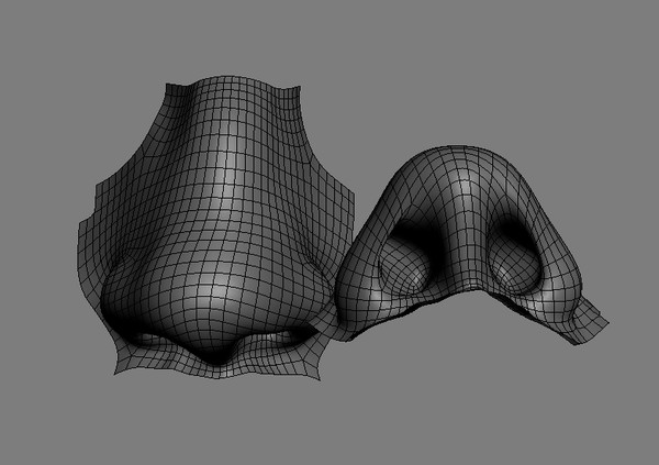 3d nose - nose by dentonvanzan