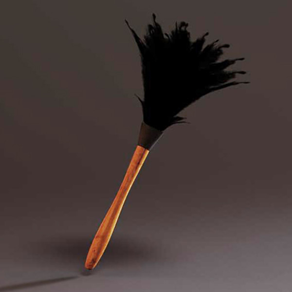 obj feather duster - feather duster by loretah