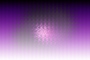purple edge